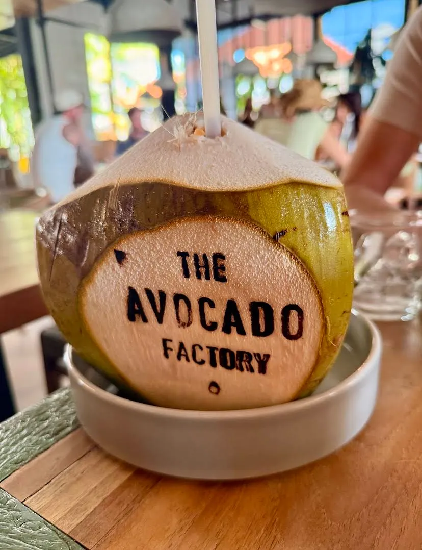 whole coconut at The Avocado Factory Bali