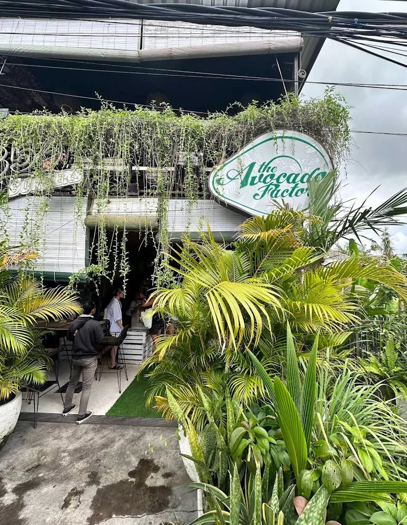 the avocado factory vibes