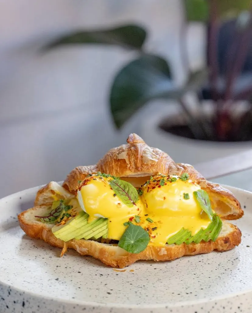 healthy food at the avocado factory